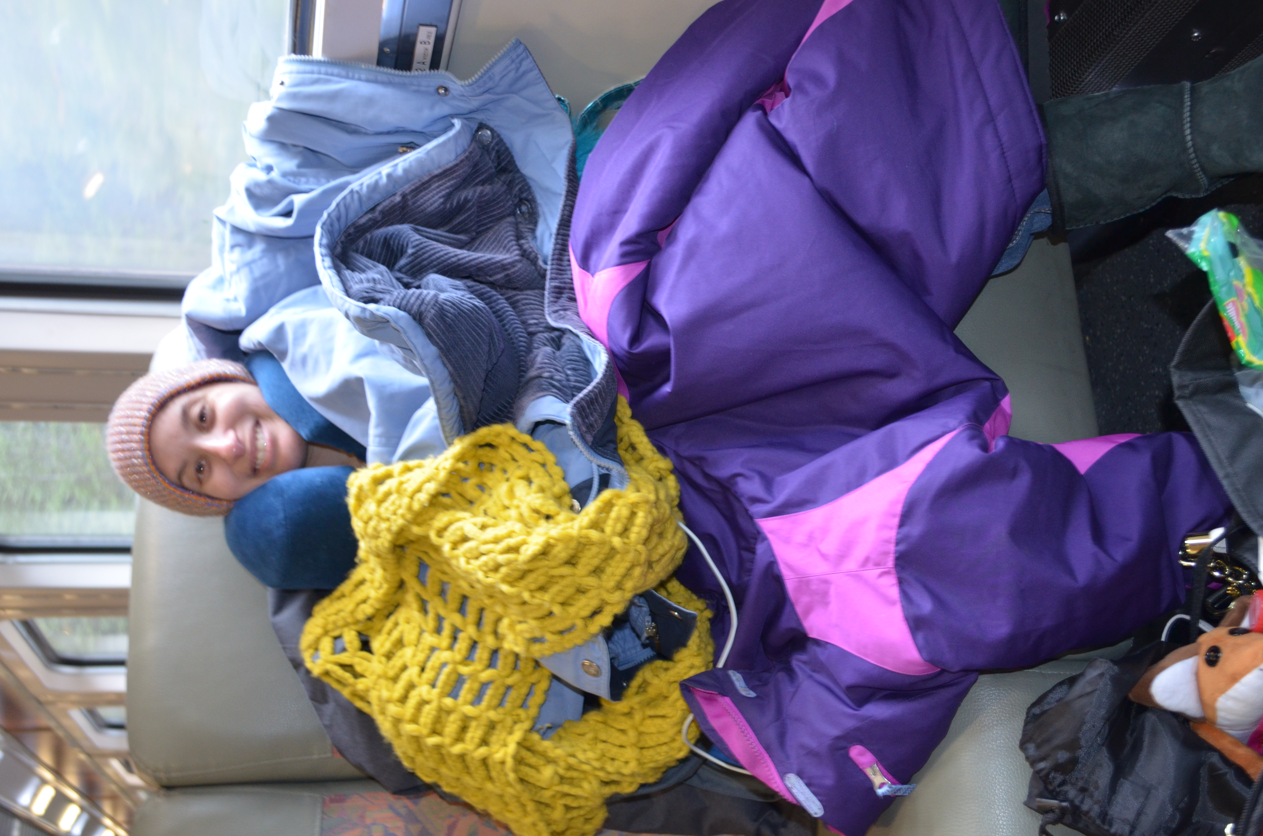 ./2017/08 - Alaska Cruise/05 - Train to Seward/DSC_0583.JPG